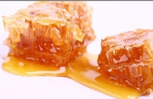 极图山狗生产厂家信息与批发价格指南